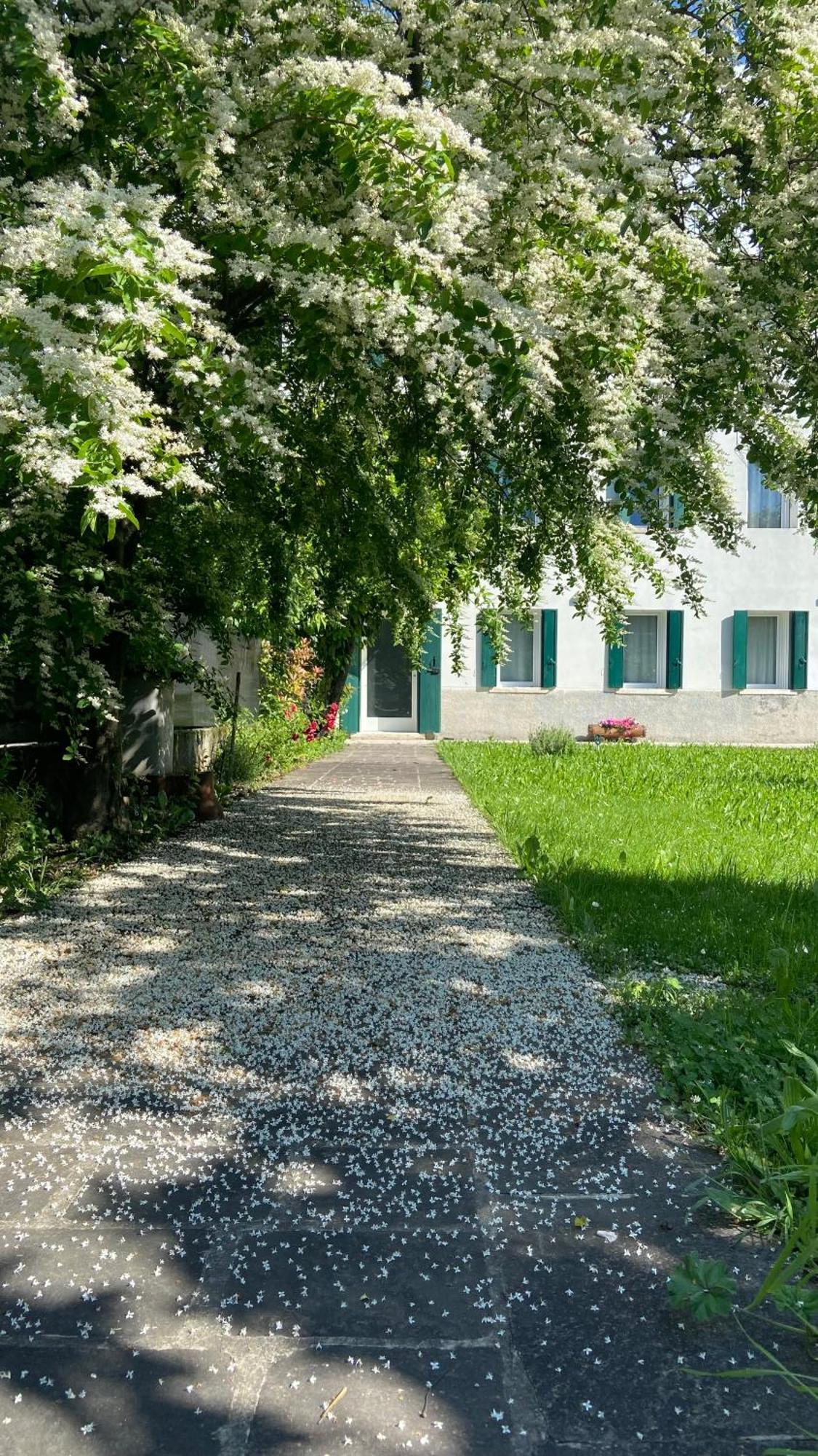 Magnolia 41 Apartman Possagno Kültér fotó