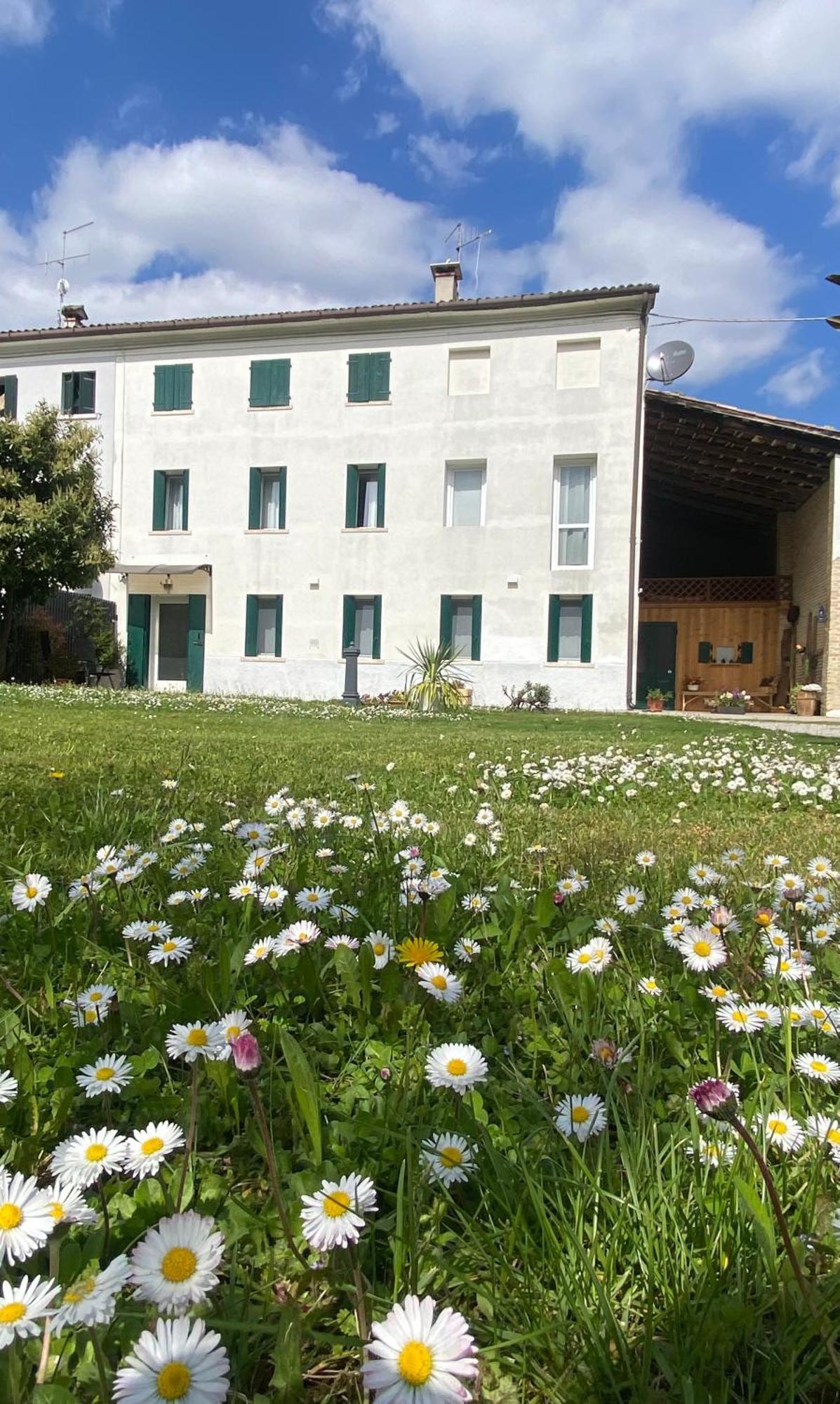 Magnolia 41 Apartman Possagno Kültér fotó